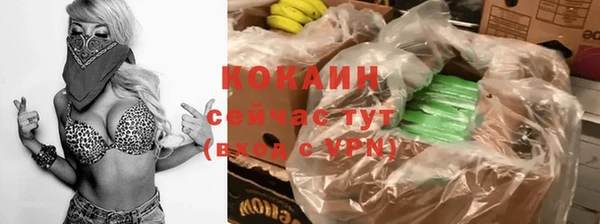 винт Аркадак