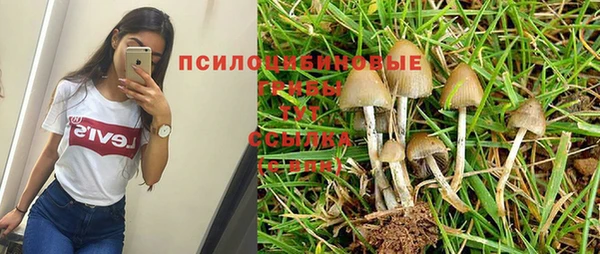 винт Аркадак