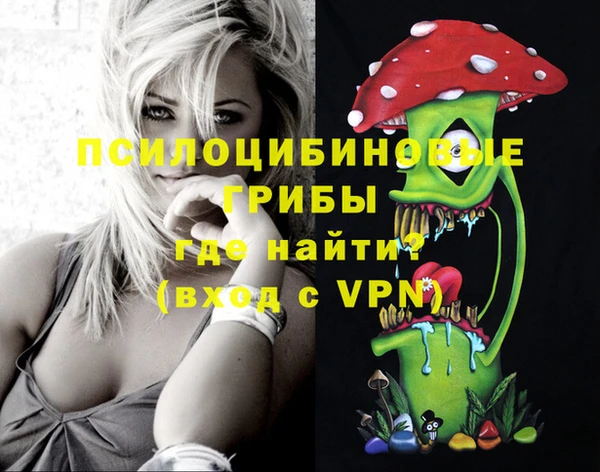 винт Арсеньев
