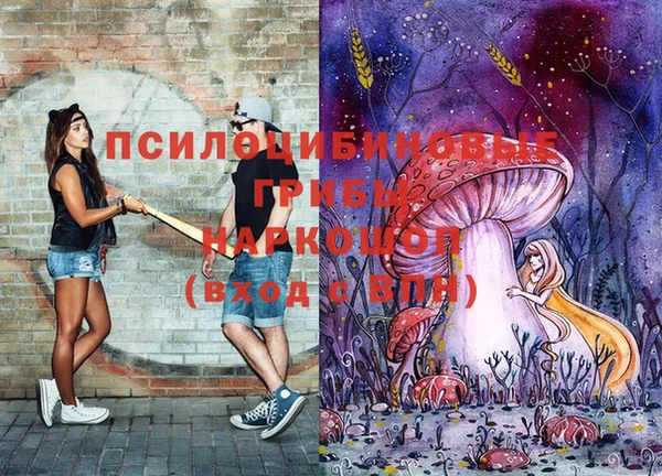 винт Арсеньев