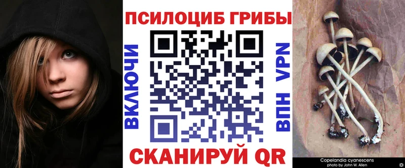 Галлюциногенные грибы Magic Shrooms  купить наркотики цена  Белозерск 